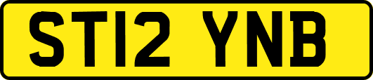ST12YNB