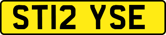 ST12YSE