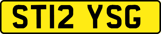 ST12YSG
