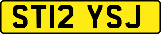 ST12YSJ