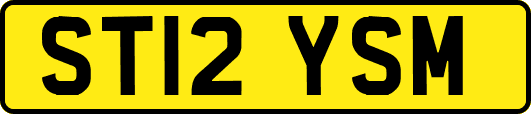 ST12YSM