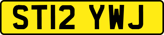ST12YWJ
