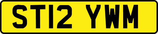 ST12YWM