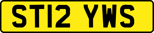 ST12YWS