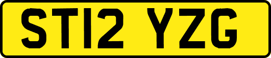 ST12YZG