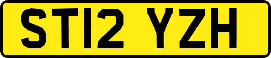 ST12YZH