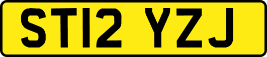 ST12YZJ