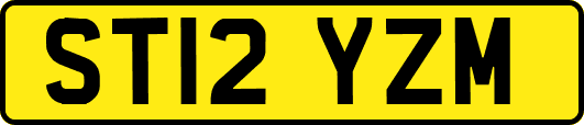 ST12YZM