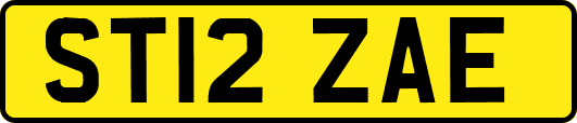 ST12ZAE
