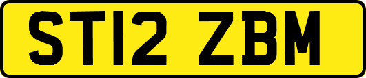 ST12ZBM