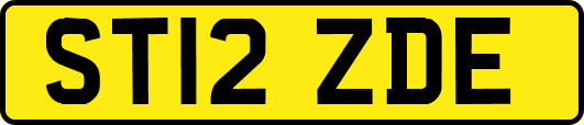 ST12ZDE