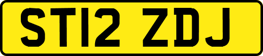 ST12ZDJ