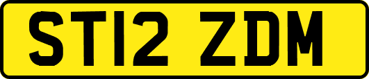 ST12ZDM
