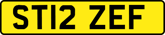 ST12ZEF