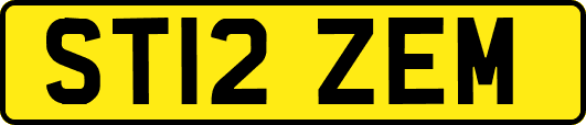 ST12ZEM
