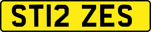 ST12ZES