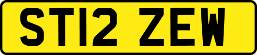ST12ZEW