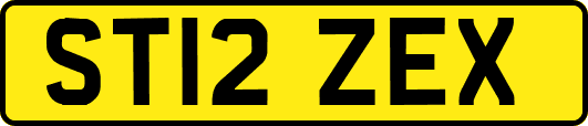 ST12ZEX