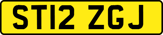 ST12ZGJ