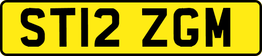 ST12ZGM