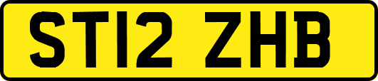 ST12ZHB