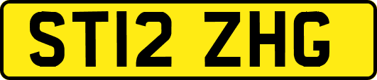 ST12ZHG