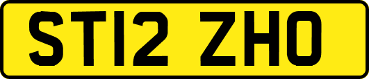 ST12ZHO