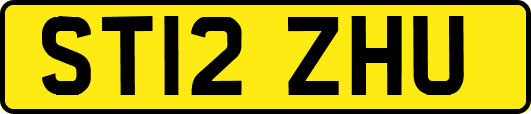 ST12ZHU