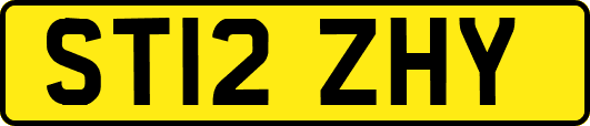 ST12ZHY