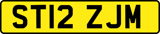 ST12ZJM