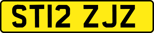 ST12ZJZ