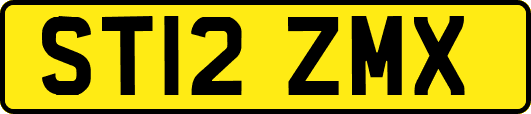 ST12ZMX