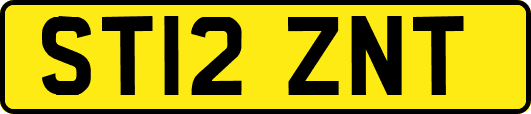 ST12ZNT