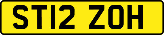 ST12ZOH