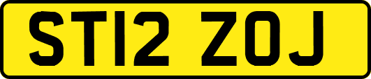 ST12ZOJ