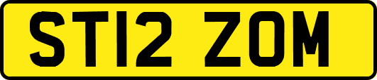 ST12ZOM