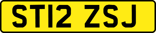 ST12ZSJ
