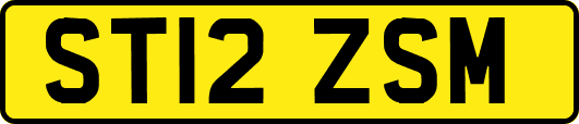 ST12ZSM