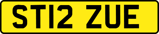 ST12ZUE
