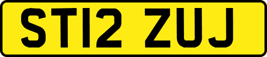 ST12ZUJ