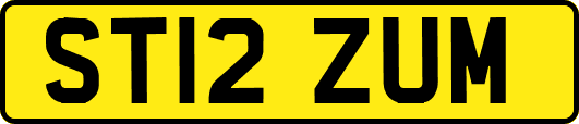 ST12ZUM