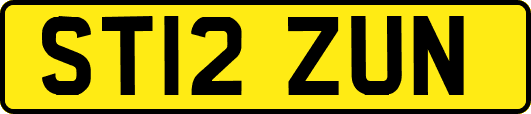 ST12ZUN