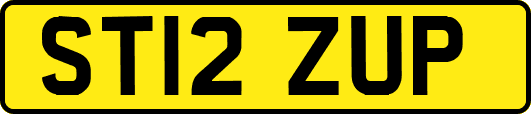 ST12ZUP