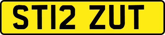 ST12ZUT