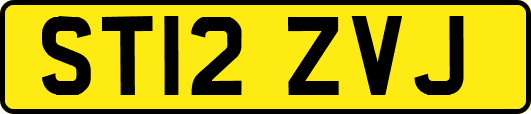 ST12ZVJ