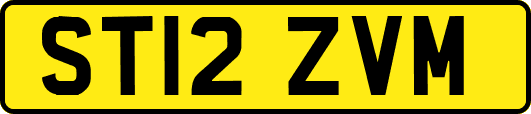 ST12ZVM