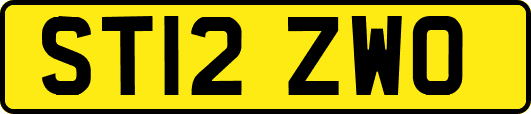 ST12ZWO
