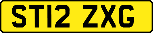ST12ZXG