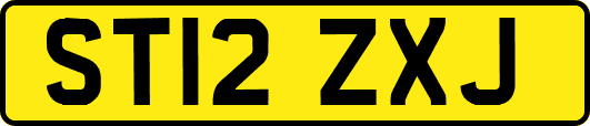 ST12ZXJ