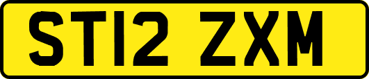 ST12ZXM